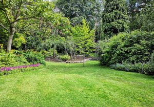 Optimiser l'expérience du jardin à Neuvy-en-Beauce